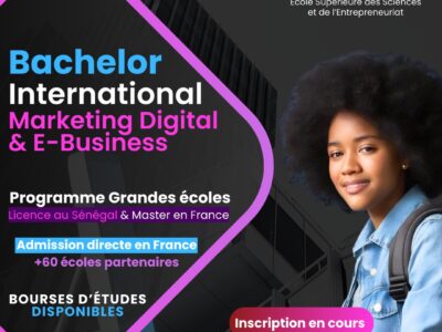 Bachelor en Communication et Marketing Digital